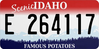 ID license plate E264117