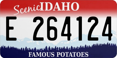 ID license plate E264124