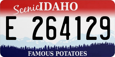 ID license plate E264129