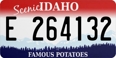 ID license plate E264132