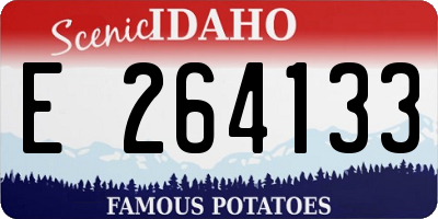 ID license plate E264133