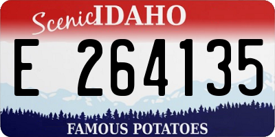 ID license plate E264135