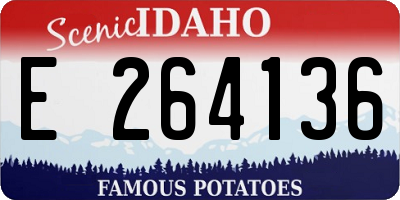 ID license plate E264136