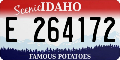 ID license plate E264172