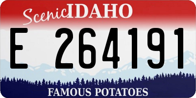 ID license plate E264191