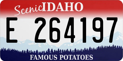 ID license plate E264197