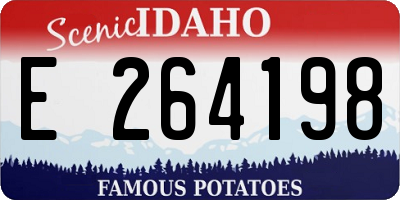 ID license plate E264198
