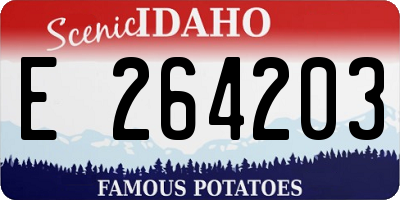 ID license plate E264203