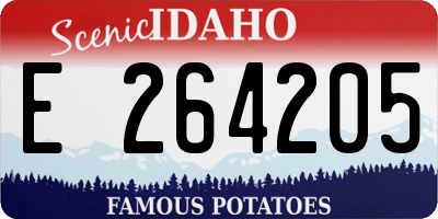 ID license plate E264205