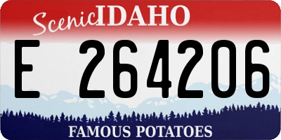 ID license plate E264206