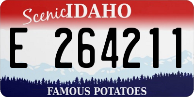 ID license plate E264211