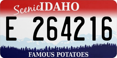 ID license plate E264216