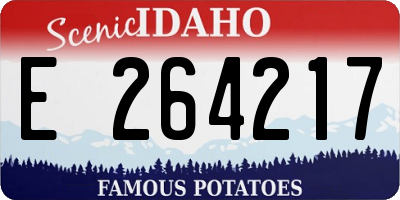 ID license plate E264217