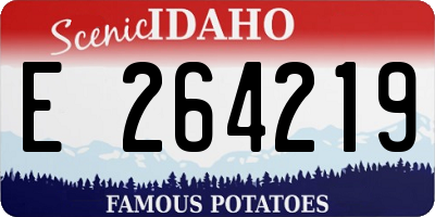 ID license plate E264219