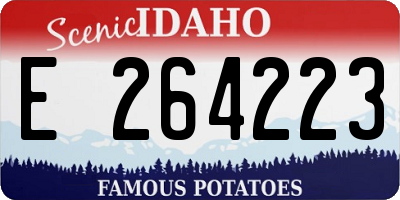 ID license plate E264223