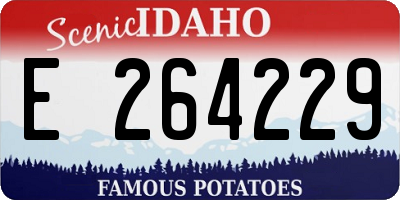ID license plate E264229