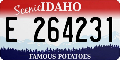 ID license plate E264231