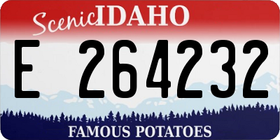 ID license plate E264232