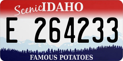 ID license plate E264233