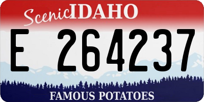 ID license plate E264237
