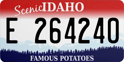 ID license plate E264240