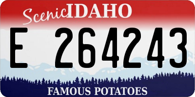 ID license plate E264243