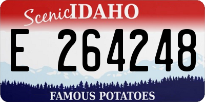 ID license plate E264248