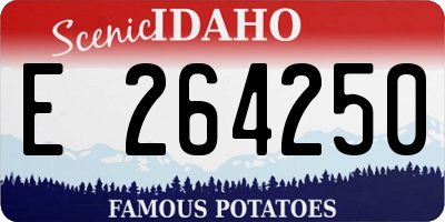 ID license plate E264250