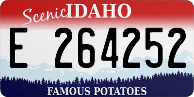 ID license plate E264252