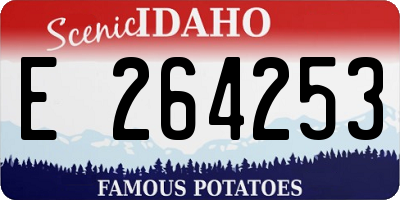 ID license plate E264253