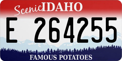 ID license plate E264255