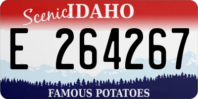 ID license plate E264267