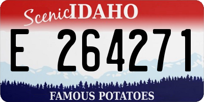 ID license plate E264271