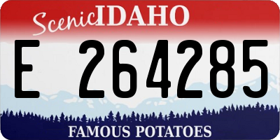 ID license plate E264285