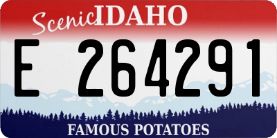 ID license plate E264291