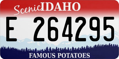 ID license plate E264295