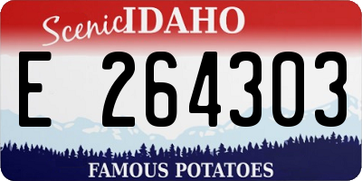 ID license plate E264303