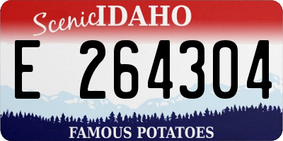 ID license plate E264304