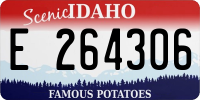 ID license plate E264306