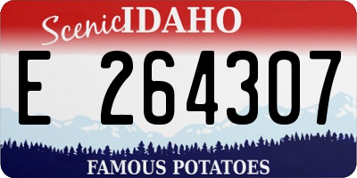 ID license plate E264307