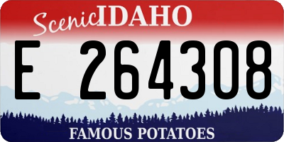ID license plate E264308