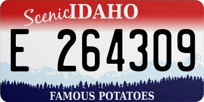 ID license plate E264309