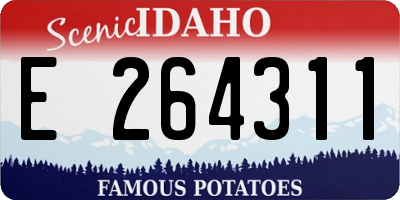 ID license plate E264311