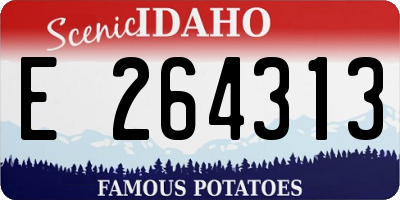 ID license plate E264313