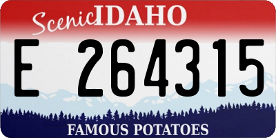 ID license plate E264315
