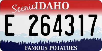 ID license plate E264317