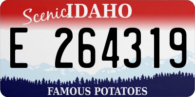 ID license plate E264319