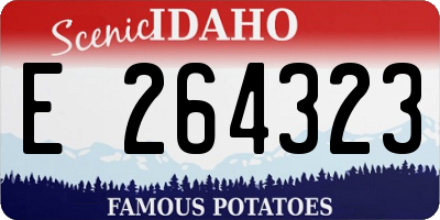 ID license plate E264323