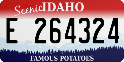 ID license plate E264324