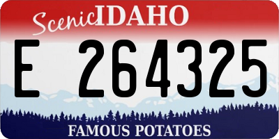 ID license plate E264325